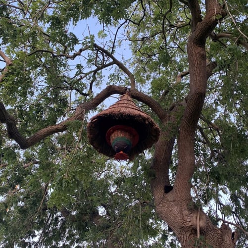 Sun Hive Bassevelde Content
