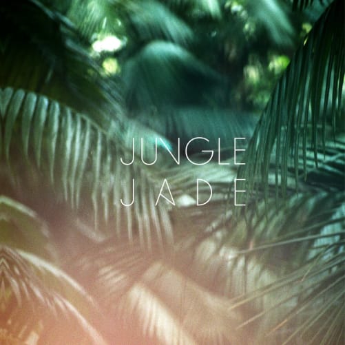 design & logo by Christiane Pescheck Content