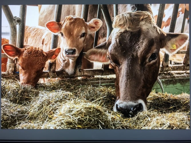 Cloé, Rumer und Regina <3 <3 <3