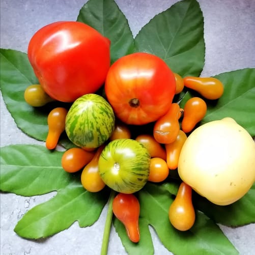 Quand le jardin s'invite sur la table 💪 Content