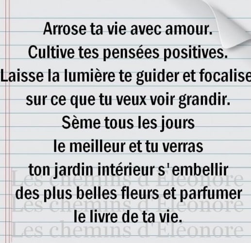 Merci Content
