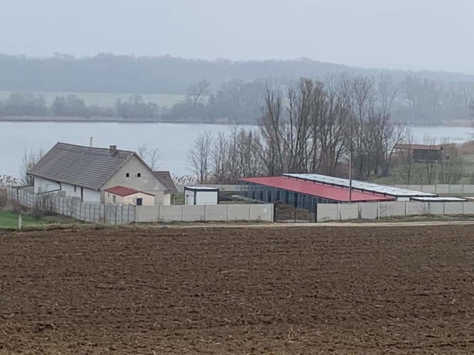 Unser Tierheim Content