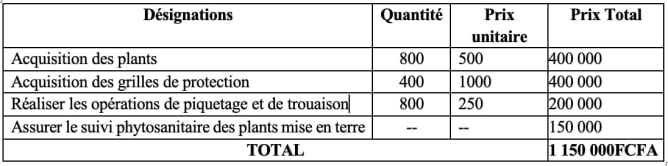 Budget provisoire