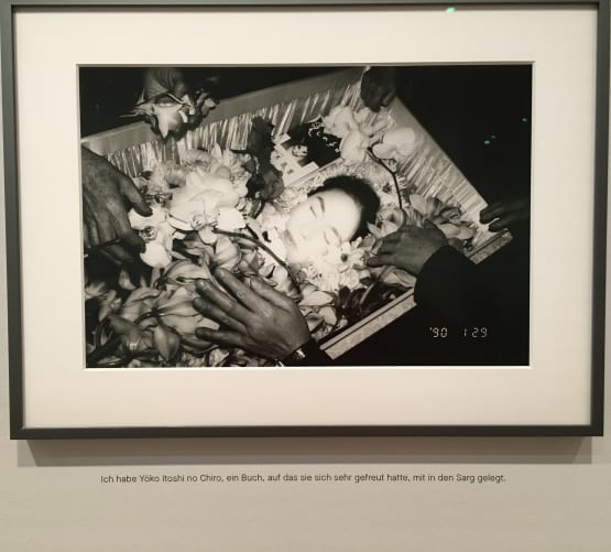Nobuyoshi Araki Content