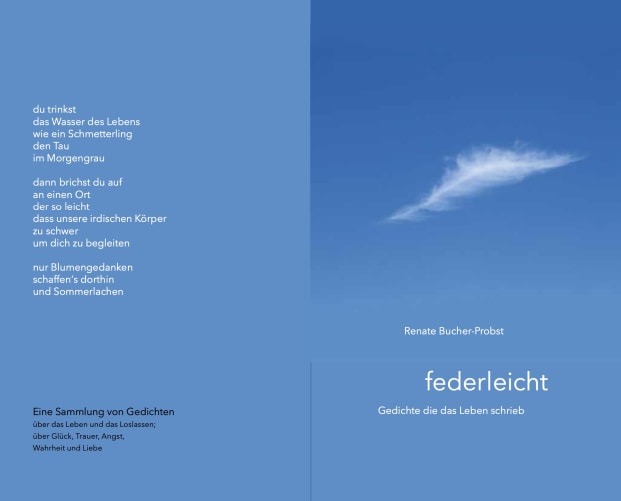 Das Buchcover ist am Entstehen