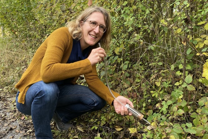 Unterwegs mit dem Insektensauger - dehors avec l'aspirateur à insectes Content