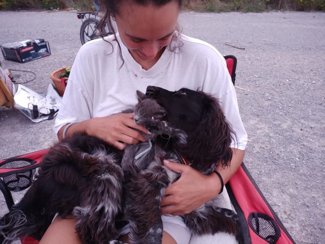We are so happy, we could eat each other! ;P Content