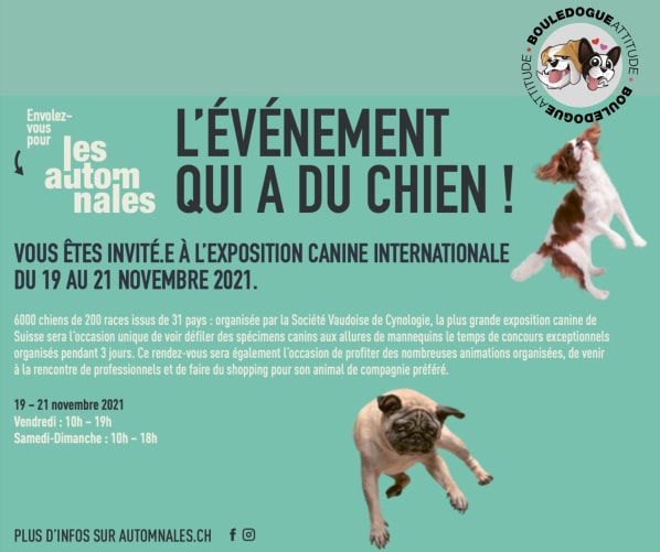 Le stand Bouledogue Attitude