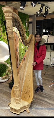 The harp I wish to buy Content