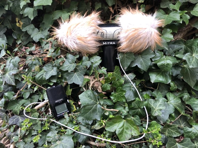 Le micro binaural en pleine exploration sonore.