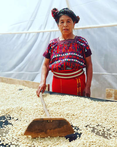 Juana ist Teil der Aprocafi Kooperative in Guatemala