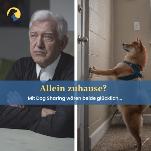 Home alone? With Dog Sharing both would be happier. More and more people and dogs are alone a lot during the day.