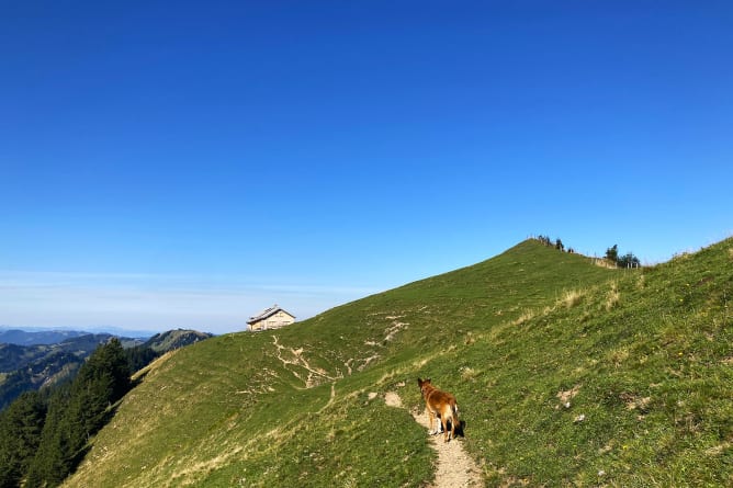 Die Hoch Petersalp im toggenburgischen Alpstein