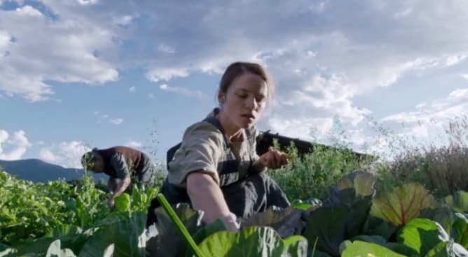 Standbild aus Terrence Malick's «A Hidden Life» (US, DE 2019)