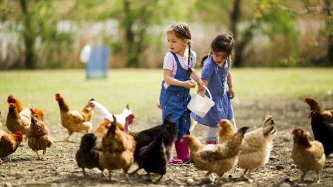 Ferme Pédagogique itinérante