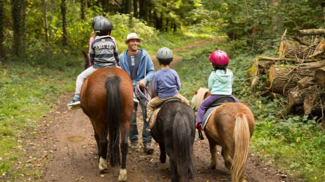 Poneys et nature 