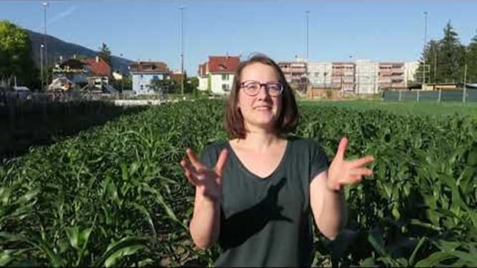 Vidéo Crowdfunding pour le Festival Biu en Vert