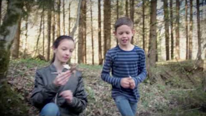 WoodHeroes Crowdfunding-Video 2017