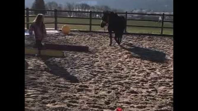 Stella's Ponyhof