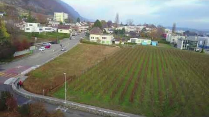 Jardin communautaire 2520