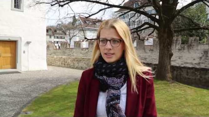 Die Bloodhound vom Gubel - Crowdfunding des Museums Burg Zug