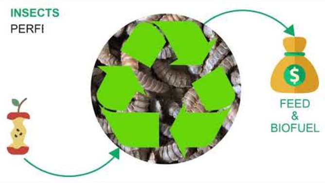 Food waste as resource