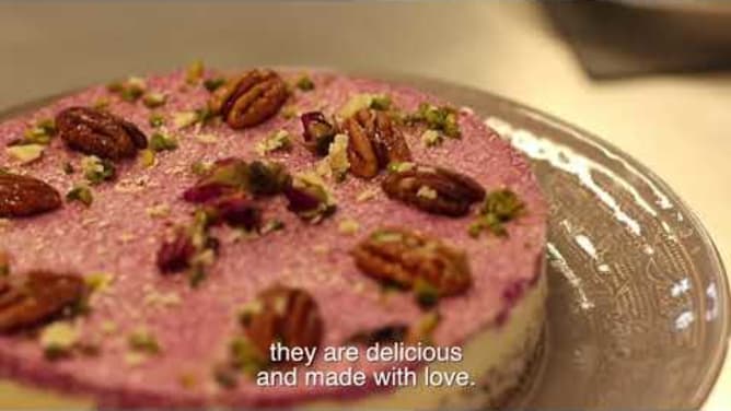 LoLa's Kitchen 1st vegan cake shop Crowdfunding Campaign