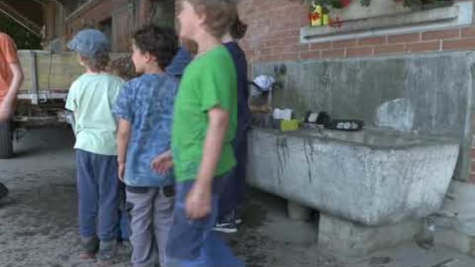 Neue Zäune für unser Ziegen