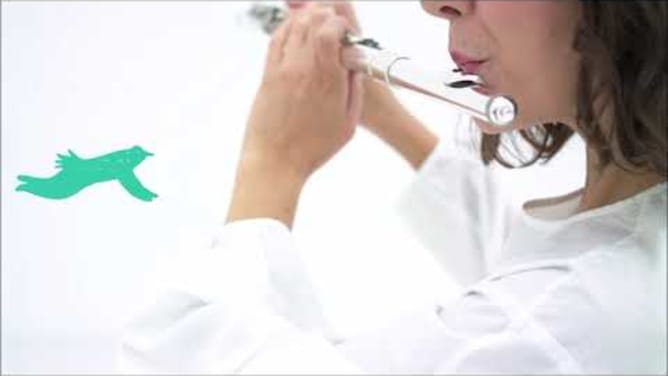 Synesthetic Project: New Video Crowdfunding
