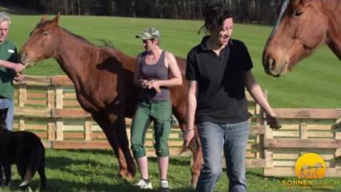 SonnenRanch gibt Tieren Hoffnung