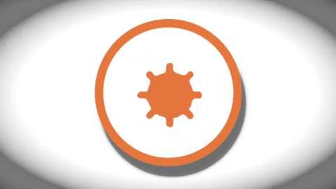 www.cameleon.education