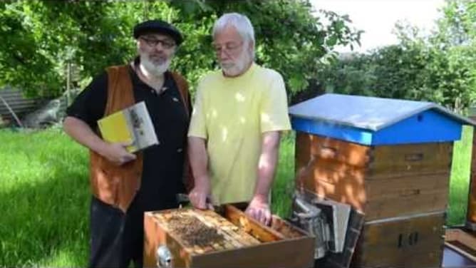 Bienenleben 1