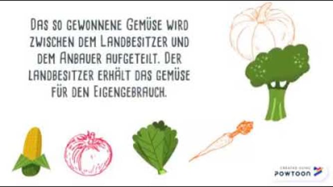 Erklärvideo Garten