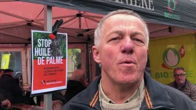 STOP HUILE DE PALME - Signez le référendum contre l&rsquo;accord de libre-échange avec l&rsquo;Indonésie