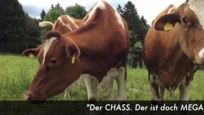 CHASS. Der neue Bergkäse