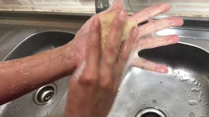 Démo Luffa