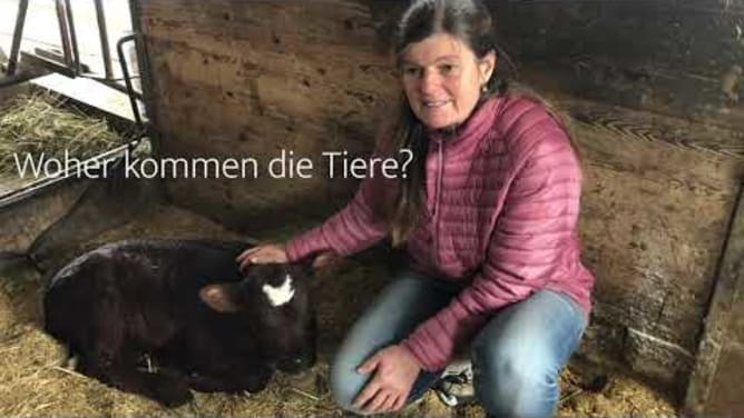 Einfach Sein