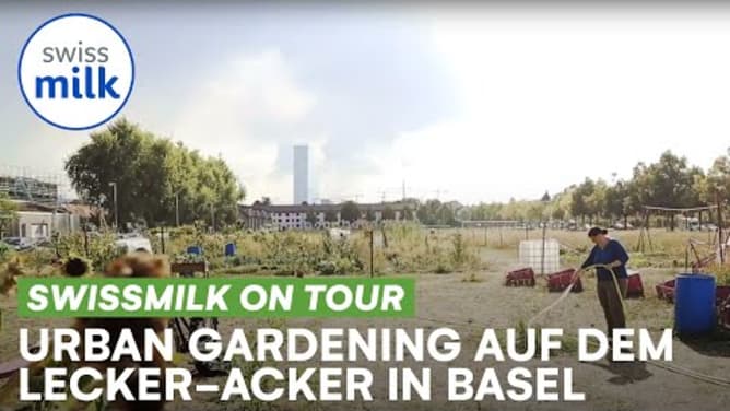 Urban Gardening auf dem Lecker-Acker in Basel