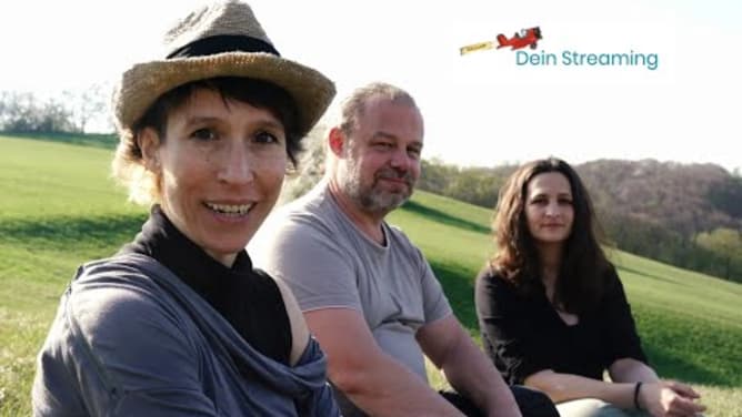 Dein Streaming crowdfunding