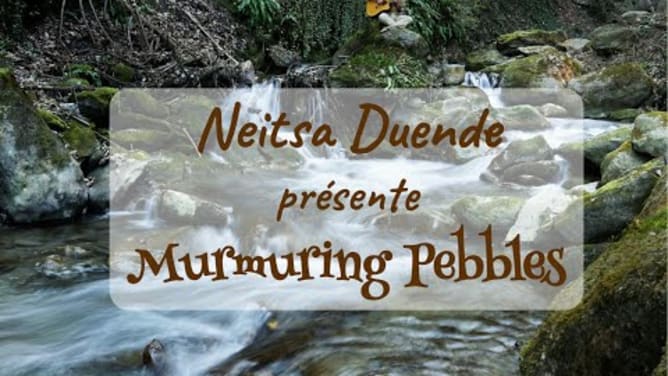 Crowdfunding de mon album solo &laquo;Murmuring Pebbles&raquo;