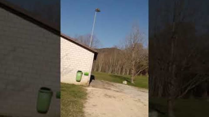 Rotschopf-Treffen Schweiz 2019
