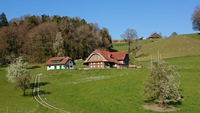 Bio Bauernhof Eichbel