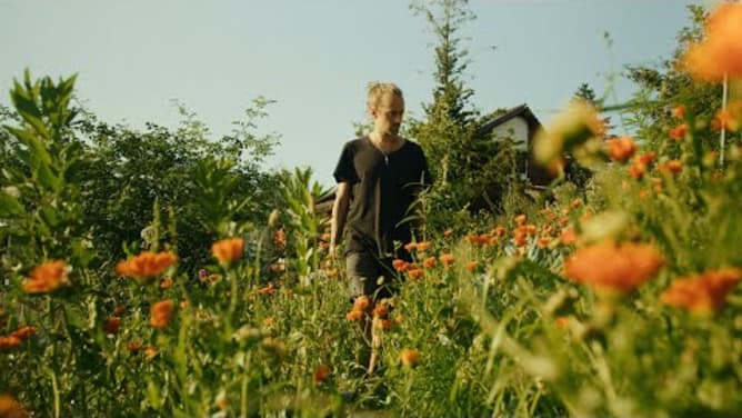 PermaTerra - dein Permakultur Garten (Crowdfunding)
