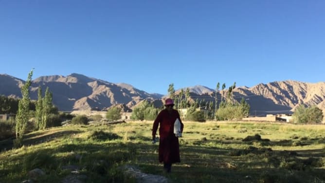 Pilotprojekt: Landwirtschaftliches Vermarktungskonzept für Bauern in Ladakh/Indien