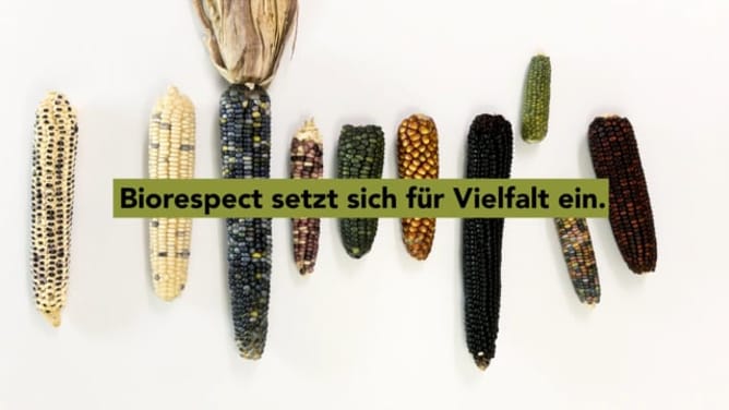 Maisvielfalt