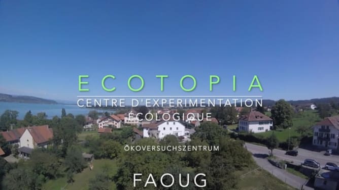 Ecotopia