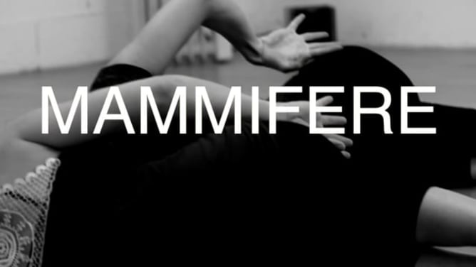 ▶ Mammalia