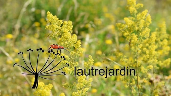lautrejardin - pas de plantes sans eau