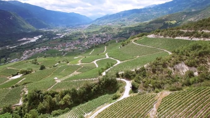 Schweizer Weinatelier Crowdfunding