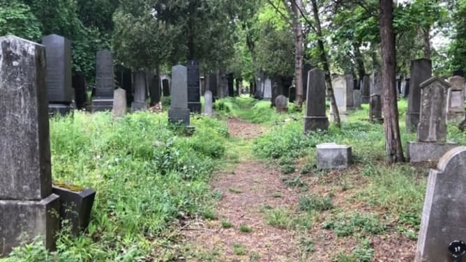 MementoMori h264.mov